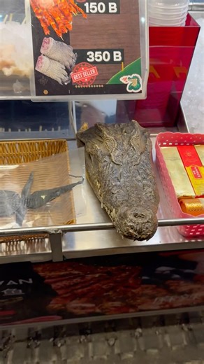 Alligator Meat Local Market