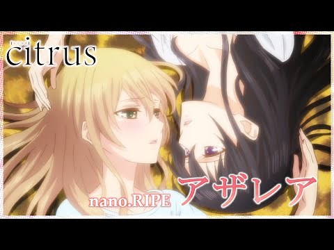 【公式】『citrus』OP主題歌 nano.RIPE「アザレア」ノンクレジット映像