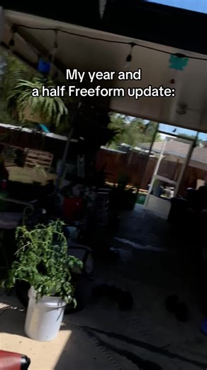 Freeform journey took long ash🥱#fypシ #semifreeforms #teigefreeforms | Free Forms