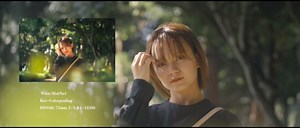 Kenko Diffusion Filter White Mist No.1 φ82mm, for a Vintage Touch, Diffusion Effect, for Video/Portrait Shooting, Made in Japan 519738