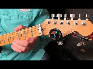 Snark Sn5x Clip on Tuner For Guitar