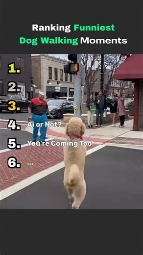 Ranking Funniest Dog Walking Moments 😂🐕