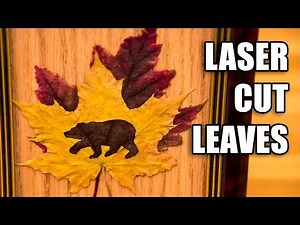 Laser Cut Leaves / Laser Engraving Leaves