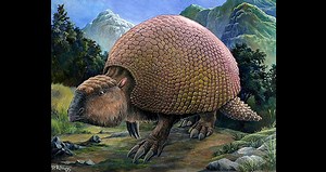 Glyptodon