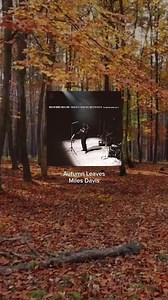 From Summer to Fall with Miles Davis as the soundtrack 🍂 | Miles Davis