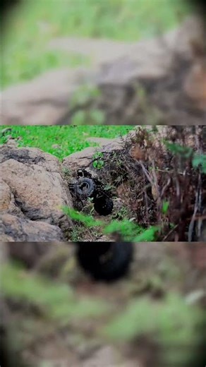 🏁 Ultimate RC Crawler Race Challenge | Rock vs Road Battle! #rcoffroad #rcrockcrawler #rcaddict