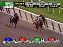 2008 Peter Pan Stakes