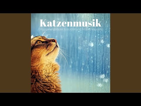 Entspannungsmusik (Harfe)