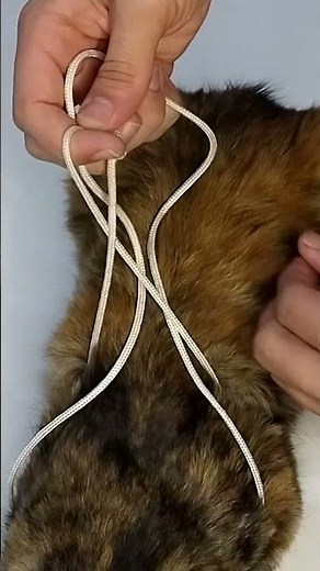 Homemade pet harness #tip #collar #pets #dog #cat #rope #knot #shorts