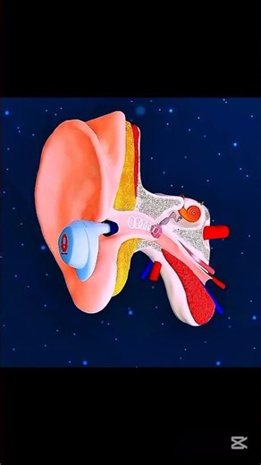 Tinnitus Mein Bareek Awaaz Kyun Sunai Deti Hai? | Aaj Ka Fact