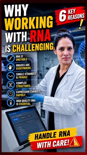 Why Working with RNA is So Challenging? | Why RNA Experiments Fail? #RNA #biotechnology #biology