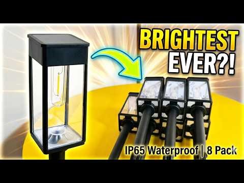 Solar Pathway Lights That Don't Die After One Season