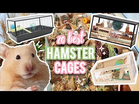 Top 20 Best Hamster Cages - Pet Enclosures + Tips! 🐹🍄🌿