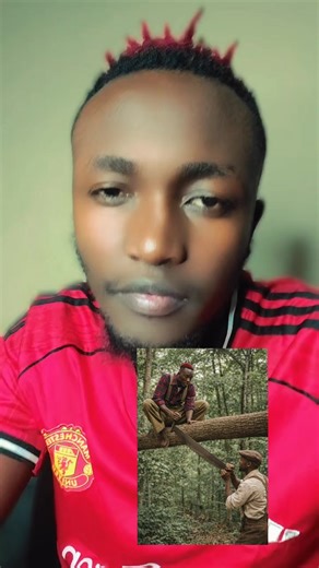 The Art of Teamwork in Tree Cutting: A Cultural Reflection