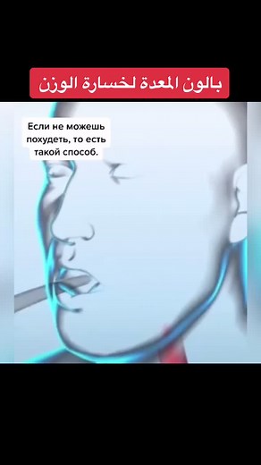 Understanding the Human Digestive System Animation