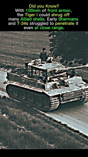 Tiger Tank 100mm of front Armor Could Bounce Allied Shells! 💥 #ww2history #historyshorts