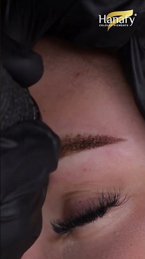 Best Eyebrow Shapes for Powder Spraying Technique | PMU Master Anna Chislova’s Expert Guide