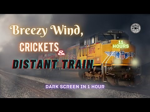 🚂 Sounds of Breezy Wind, Crickets, and Distant Train ⨀ 11 Hours ⨀ Dark Screen in 1 Hour