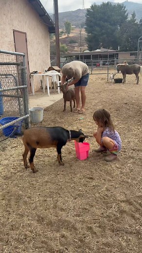 1.5K views | Don’t let soreness slow you down. Arnica 30C Meltaway Pellets offers plant-powered relief for minor muscle pain, stiffness, and bruising— without known drug interactions. Trusted by millions, it’s a better way to feel better. *Claims based on traditional homeopathic practice, not accepted medical evidence. Not FDA evaluated. Always read and follow label directions. | BOIRON USA | Facebook