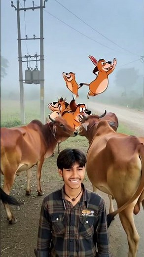 The Hilarious World of Pakdam Pakdai: A Breakdown of Cow Chaos!