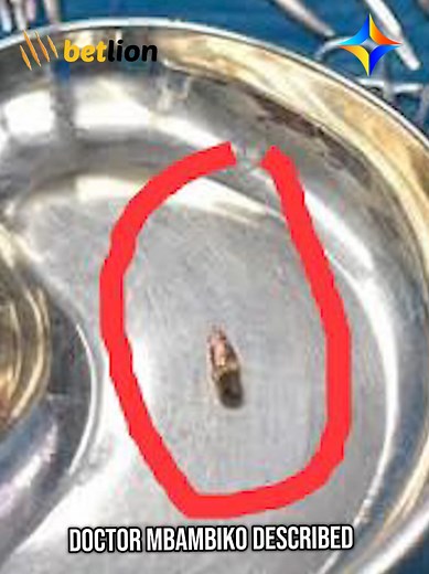 DiamondTVZambia on TikTok