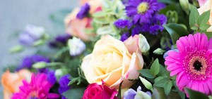 Lista de 20 Flores Mais Populares e Seus Significados – Mundo Ecologia