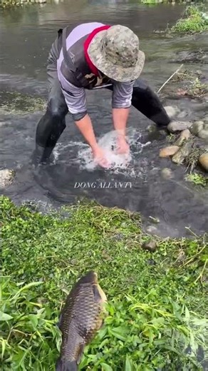 Amazing Hand Fishing Catch 😱 | Catching Big Fish by Hand in Small Stream #shortselling