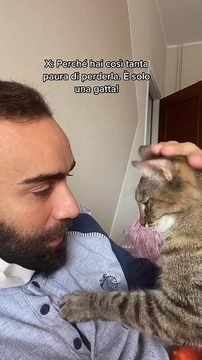 Amore per gli animali: la storia di una gatta