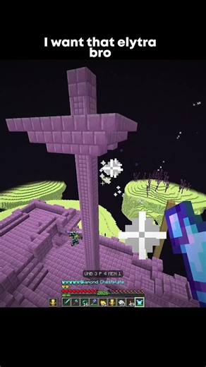 I wanted that elytra Bro #minecraft