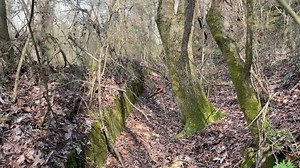 589K views · 2.9K reactions | We were recently told about a cave near Tarrant . So we went to see it . We noticed the opening use to be much bigger but at some time in the past loose dirt was pushed over it. Maybe someone was trying to hide it ?? | Underground Birmingham | Facebook