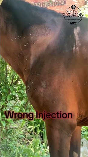Wrong injection side effects