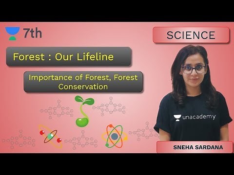 Forest : Our Lifeline | Importance of Forest, Forest Conservation | Unacademy Class 7