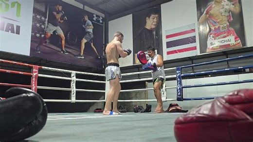 Experience the Pure Sound of Muay Thai Training
