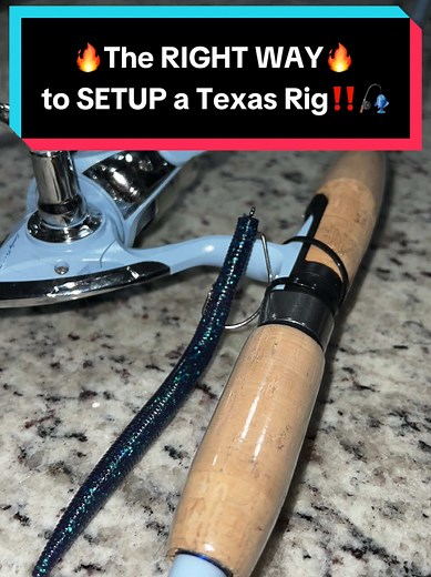 Cómo configurar un Texas Rig Senko correctamente🎣
