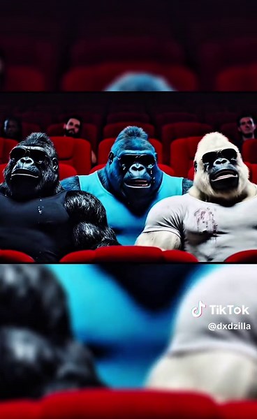 zot croir? #dodzilla #mauritius #bigoule #batouk #ap