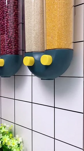 Colorful Grain Container Organization Ideas