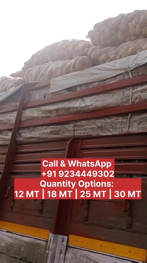 Fresh Produce | Bulk & Export | 🔥 POKHRAJ POTATO – BULK SUPPLY AVAILABLE 🔥 🥔 Fresh Quality | Direct Loading 📦 Quantity: 12 MT | 18 MT | 25 MT | 30 MT 🚚 Transport: Extra... | Instagram