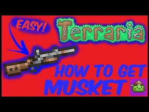 How To Get Musket In Terraria | Terraria 1.4.4.9