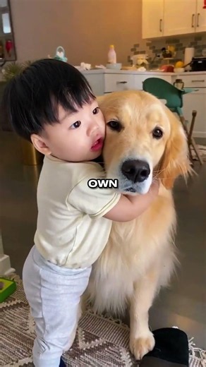 Top 5 Dog Breeds That Are Great With Babies