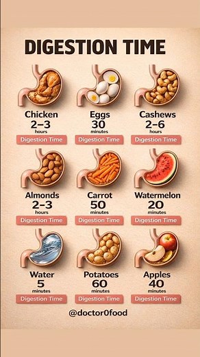Digestion Time Chart | How Fast Different Foods Digest | What Happens in Your Stomach? #healthylife