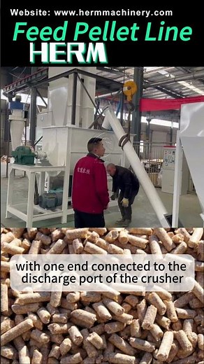 Automated 3-4T/H Feed Production Line | Smart Solution for Modern Feed Mills! #pigfeedmill