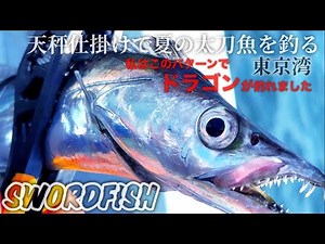 【タチウオ釣り】東京湾の天秤タチウオ。私はこのパターンでドラゴンが釣れました。金沢漁港 忠彦丸〜#タチウオ釣り #東京湾 #船釣り