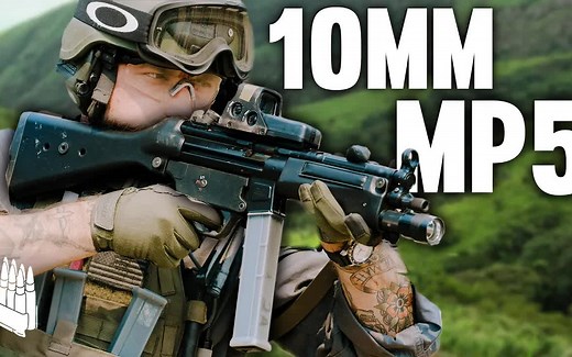 MP5\u002F10：搭载10MM AUTO弹药的MP5冲锋枪【Garand Thumb】