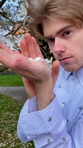 Fascinating Orchid Mantis - Fun Facts About Flowers Insects