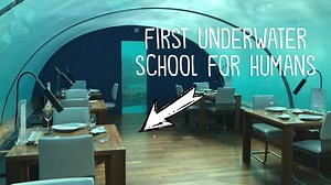 4 comments | Writing Prompt: Design an Underwater School | John Spencer | Facebook