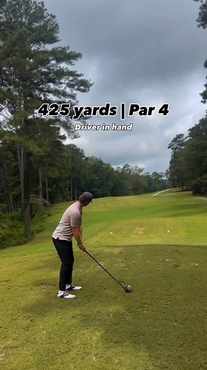 Splitting the trees | Elijah Winters