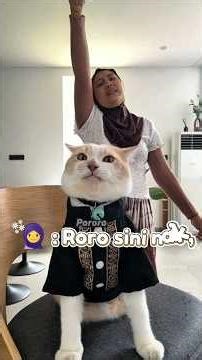 🧕 : Roro come up here, #cat #pororo #cute #cat #cutecat