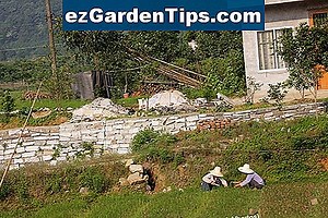 Zona 6 Guía de plantación 🌱 Tips Jardineros - Es.ezGardenTips.com