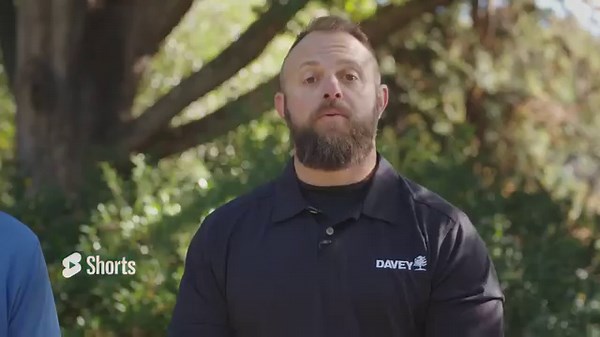 Once a storm passes, it's important to assess potential damage to your trees. In this video, we'll share what to look for and how to help your landscape recover after a big storm. If you have questions or notice potentially serious storm damage to your trees, contact your local professionally trained Davey arborist to request a free consultation: https://bit.ly/3IG005n | The Davey Tree Expert Company | Facebook
