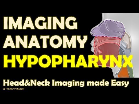 Imaging Anatomy of the Pharynx (part 4): Hypopharynx